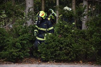 Mesečni prispevek o delu gasilcev Gasilske zveze Žalec