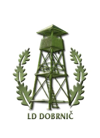 Razvitje novega prapora LD Dobrnič