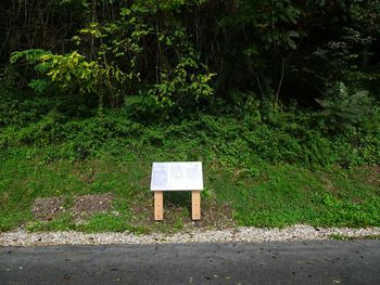 Blejski Zlatorog - učna pot okoli Blejskega jezera