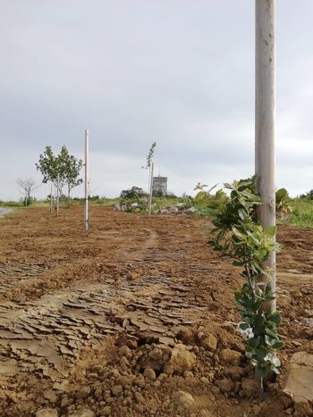 DESTINACIJA MIREN KRAS PONOVNO MED TOP 100 NAJBOLJ TRAJNOSTNIH DESTINACIJ NA SVETU V LETU 2020 