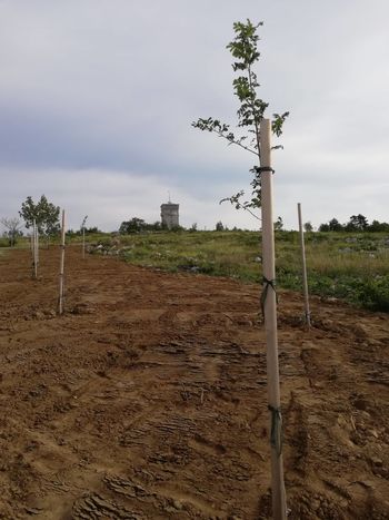 DESTINACIJA MIREN KRAS PONOVNO MED TOP 100 NAJBOLJ TRAJNOSTNIH DESTINACIJ NA SVETU V LETU 2020 