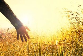 Uvodne informacije o pomočeh in ozdravitvah po duhovni poti