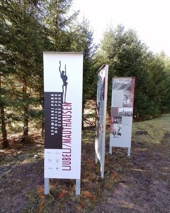 Na Občini Tržič se dogaja