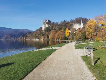 Vrbje ob jezeru je nadomestila travnata ruša