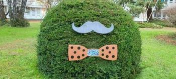 Po rožnatem oktobru na Bledu še movember