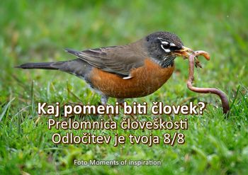 Kaj pomeni biti človek? Prelomnica človeškosti - Odločitev je tvoja 8/8 Kaj pomeni biti človek? Prelomnica človeškosti - Odločitev je tvoja 8/8