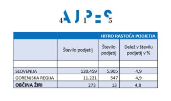 HITRO RASTOČA PODJETJA V OBČINI ŽIRI HITRO RASTOČA PODJETJA V OBČINI ŽIRI