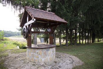 Vaški vodnjak