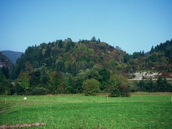 Ajdovski gradec – najstarejša bohinjska vas