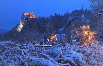 Bled v letu 2020 - december