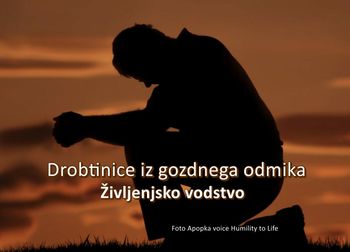 Drobtinice iz gozdnega odmika - Življenjsko vodstvo