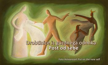 Drobtinice iz gozdnega odmika - Post od sebe