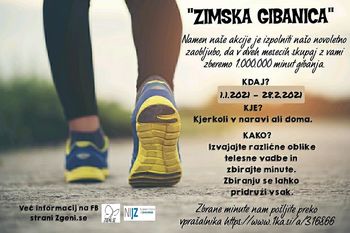 Akcija ZIMSKA GIBANICA