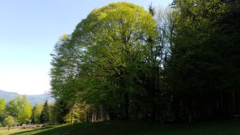Projekt NATURA 2020 ZA DOBER NAMEN