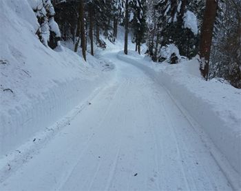 STE LJUBITELJ SANKANJA?