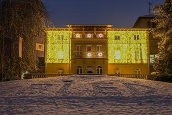 Proračunska sredstva za namen pokroviteljstva