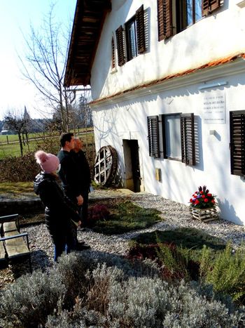 190-letnico rojstva Matije Valjavca obeležujemo s spletno proslavo