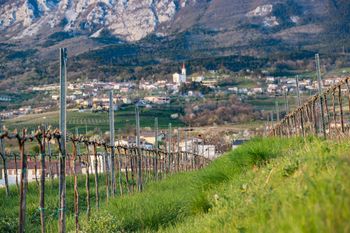 Tri obzidana mesta (Vipava, Štanjel, Šmartno)