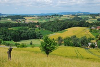 Evropska sredstva za spodbujanje podjetništva na Goričkem