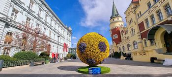 Cvetlična žoga krasi Krekov trg