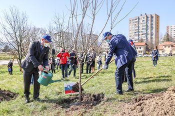 Vodstvo občine skupaj z mladimi v mestnem sadovnjaku pod Golovcem posadilo sadna drevesa