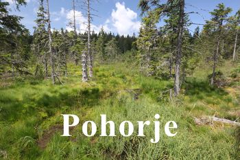 Le na noge, le na noge….vsi Pohorci Le na noge, le na noge….vsi Pohorci