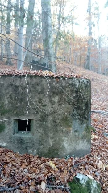 foto: Primož Koren