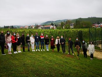 Gimnazijci in župan posadili lipo