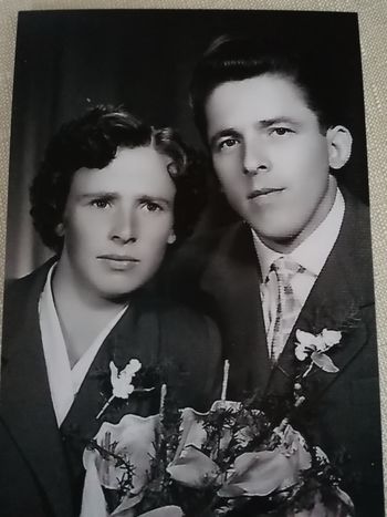 Pred 60 leti; 29. aprila 1961
