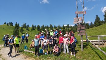 Velika planina je zacvetela