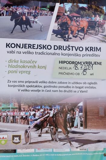 KONJENIŠKI PRAZNIK NA IGU
