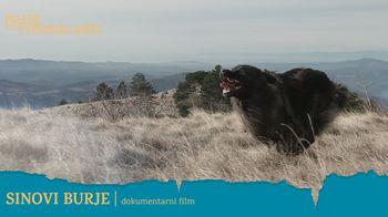 Dokumentarni film: Sinovi burje | Poletje v Vipavskem Križu 2021