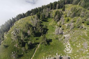 Začeli smo izvajati naravovarstvena dela na Peci in Uršlji gori Začeli smo izvajati naravovarstvena dela na Peci in Uršlji gori