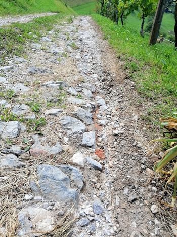 Sanacija po neurju in poplavah konec julija 2020