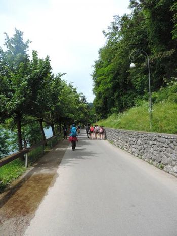 V ponedeljek popolna zapora Veslaške promenade