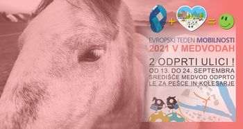 Hraški konji - parkirana fotografska razstava Žige Koritnika - Evropski teden mobilnosti 2021 v Medvodah