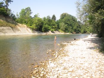 Mikrobiološka analiza Savinje pri ribniku Vrbje