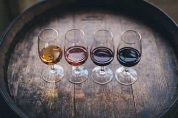 OCENJEVANJE VIN »2021«