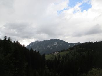 Planinski izlet na Olševo