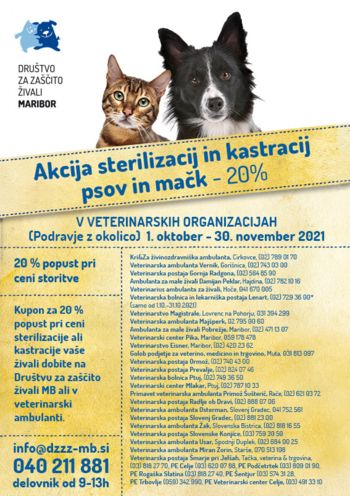 AKCIJA -20% na sterilizacijo in kastracijo psov in mačk