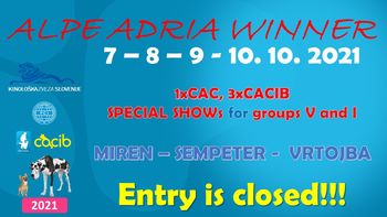 Cacib dog show