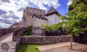 Stari grad Celje bo v ponedeljek in torek osvetljen vijolično in rumeno