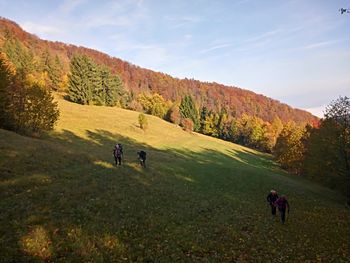 PD od Golave na Kamnik  31.10.2021