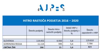 HITRO RASTOČA PODJETJA V OBČINI ŽIRI