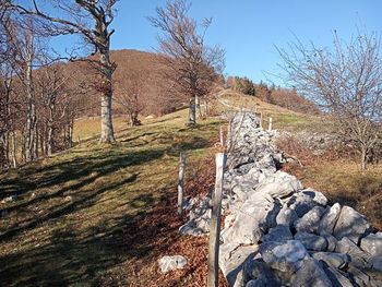 Ali ste se že kdaj povzpeli na Obli vrh?