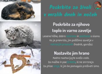 Poskrbite za živali v mrzlem zimskem času