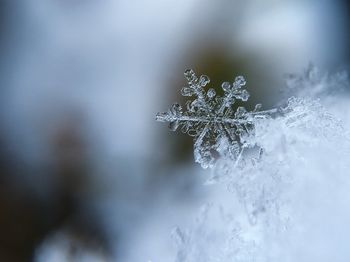 Zimska služba: pluženje in posipanje cest po prednostnem seznamu   
