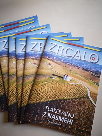 Zrcalo 2021