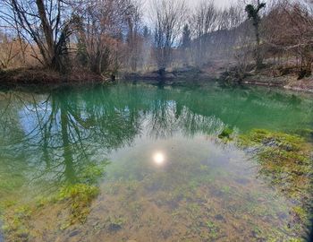 10. OBLETNICA KRAJINSKEGA PARKA RADENSKO POLJE