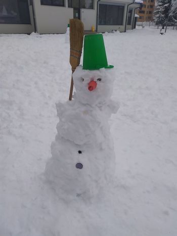 Jaz sem snežak, zimski junak, kdor me pogleda, zmrzne vsak :)